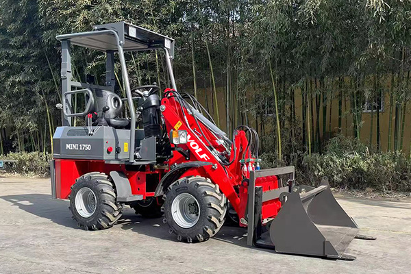 Electric Loader